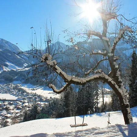 Farnreit Brixen im Thale