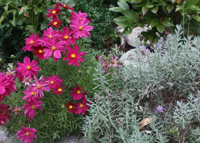 Farnreit Appartamento