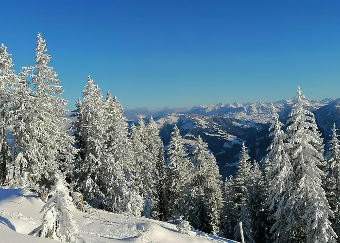 Appartamento Farnreit *