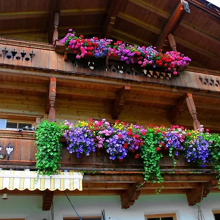 Appartement Farnreit *