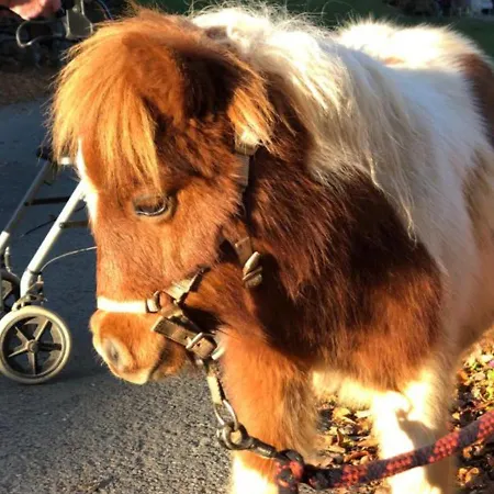 Appartement Farnreit