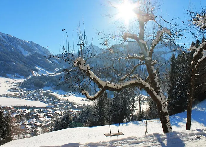 Farnreit Brixen im Thale