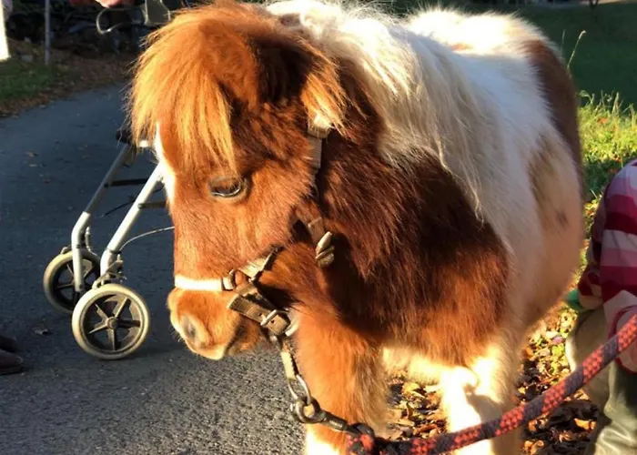Appartement Farnreit
